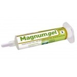 Magnum Gel Ameisen 40g